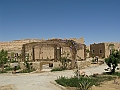 Oasi di Siwa_49